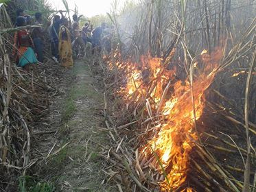 नवलपरासीमा उखुबालीमा अागजनी