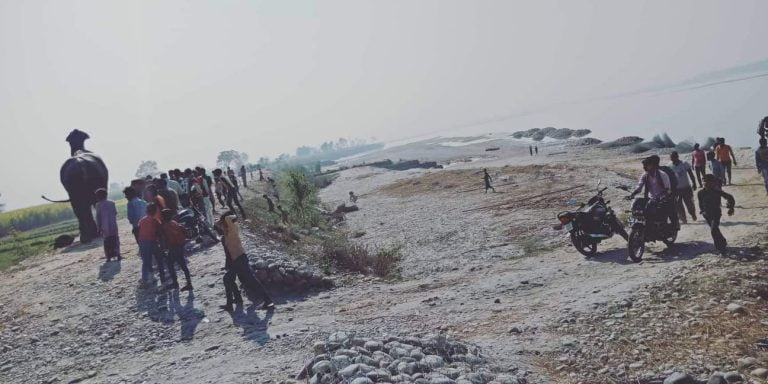 स्वदेश फर्कियाे गैंडा, अझै दुई बांकी