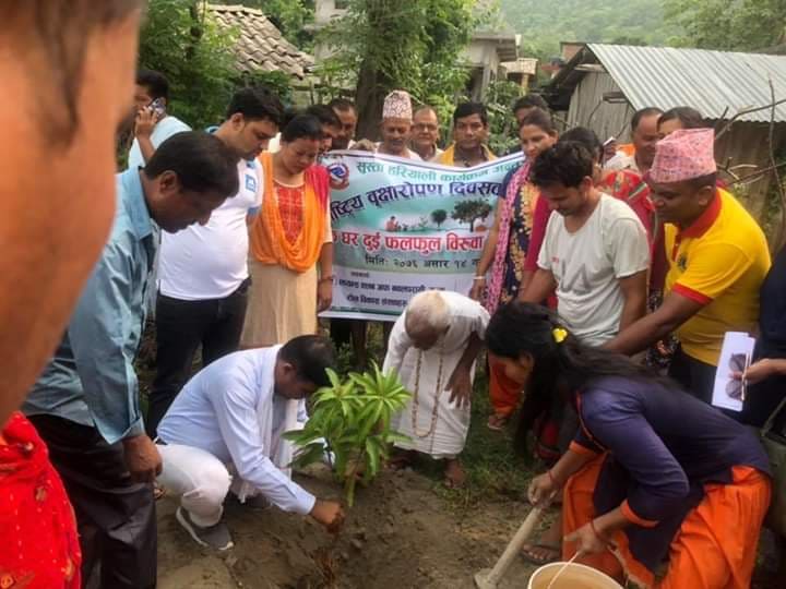 सुस्ताको अभियान एक घर दुई फलफूल बिरुवा
