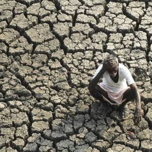 धान खेती संकटमा: मौसमीय असन्तुलन, जल स्रोतको अभाव र वातावरणीय उपेक्षाको त्रिशूल प्रहार