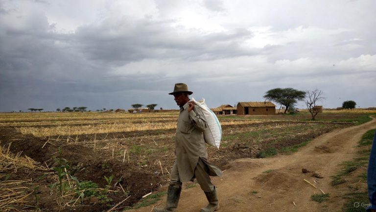 बल्झिदैछ मल अभावको पीडा, किसान पुनः मर्कामा